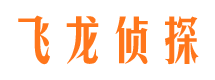 龙川侦探公司